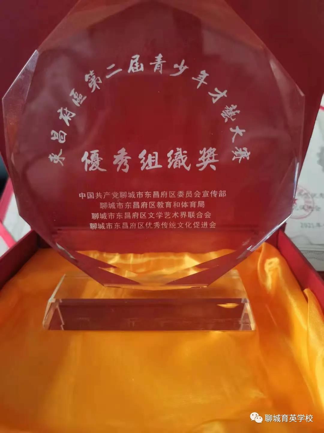 喜报：育英学子在东昌府区第二届青少年才艺大赛中荣获多种奖项(图2)